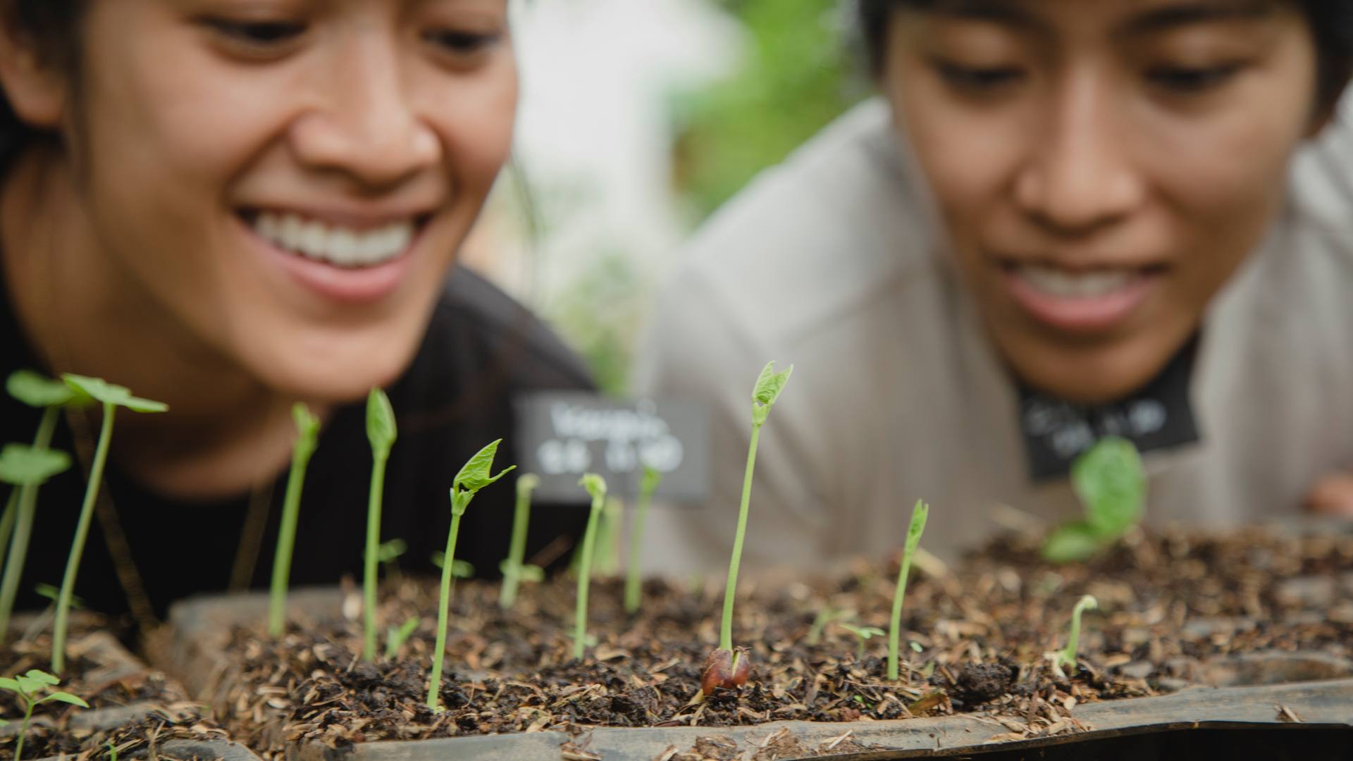 Garden tools, soil, and supplies arranged for urban growers